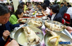농진청, 유통 닭고기 안전합니다