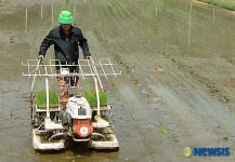 풍년을 기대하는 충북 첫 모내기