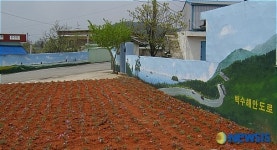 영광 백수해안도로 홍보해요