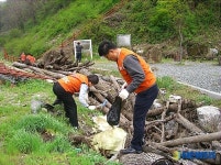 미선나무자생지 1사1문화재 정화활동
