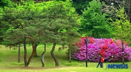 숲속의 데이트