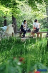 수목원에서 즐기는 휴식!