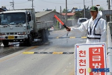 안성시 AI발생 긴급방역 돌입