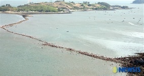 현대판 모세의 기적