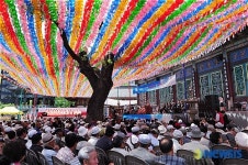 화려한 연등 아래 펼쳐진 어버이날 경로잔치