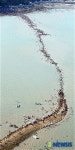 진도 신비의 바닷길 축제 대성황..관광객 100만 돌파