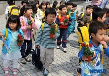 부모님에게 선물할 카네이션