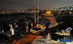 송파구 문정, 장지개발지구 닭과 오리 살처분 실시