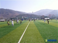 하동군, 인조잔디 축구장 무료 개방