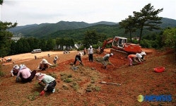 고 박경리 선생의 묘소 조경작업 한창