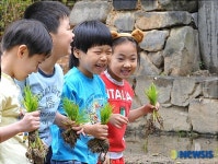 모내기, 신기해요