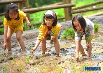 모내기하는 꼬마 농부들