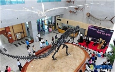 가족과 함께, 음악과 함께