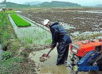 청도 이서면 논두렁 작업