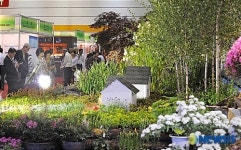 향수 불러일으키는 들꽃 핀 강변마을