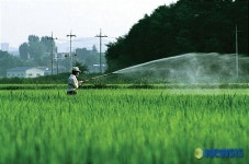 농약중독 무방비, 농민 건강 어쩌나