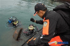 바다의 날 바닷가 대청소 펼쳐