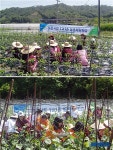 부모님들 농사일 정말 힘드시겠네