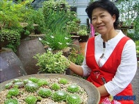 속리산 하늘빛 식물원 꾸민 이현숙씨