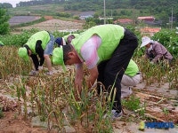 서울 동작구, 농촌 일손돕기 자원봉사