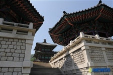 범종각과 법고각 사이로 보이는 대탑