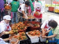 신풍면 대룡1리 5도2촌 시범마을 김치담그기 행사 개최