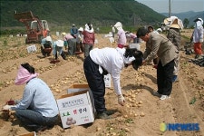 김해생림농협 농촌일손돕기 활동