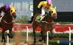 KNN배 특별경주, 질주하는 애니카퀸