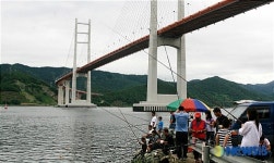 마창대교 아래서 즐기는 행락객들
