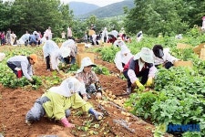 경주시 농산물 수확 체험을 통해 직거래 판매