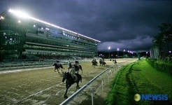 휴가철 맞아 부산경남경마공원서 야간경마 개장