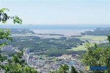 유류 사고 200일을 맞는 태안앞 서해바다