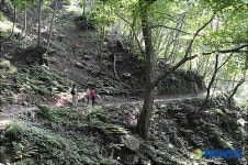 옛 모습 그대로의 산길