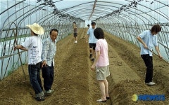 내고향 IT봉사단, 농촌 일손돕기 및 컴퓨터 정비교육 펼쳐