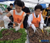 정성이 함께하는 한우 불고기 시식행사