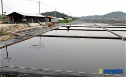 <송기자 여행사진> 신안 증도 태평염전