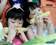 옥수수로 하모니카 불어요