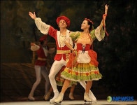 한여름의 아이스 쇼