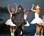 상트 페테르부르크 국립 아이스발레단 내한공연