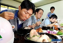 현대건설 전 직원 삼계탕 점심