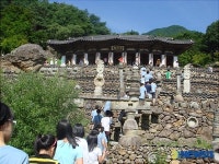 초.중학생들의 청학동 건강캠프