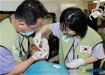 여수지구촌사랑나눔회 의료진, 필리핀 의료 봉사