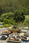 ‘산속의 웰빙밥상’ 맛과 건강은 절에 있다