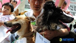 우리들의 친구를 먹지마세요