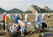 해수욕장에서 하는 갯벌체험