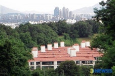 숲속의 섬처럼 보이는 아파트