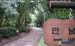 휴일 등산로 입구