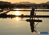 <송기자 여행사진> 신안 증도 태평염전