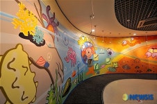 <송기자 여행사진> 증도는 갯벌생태의 산 교육장