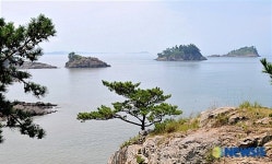 <송기자 여행사진> 증도 전망대에서 바라본 작은 섬